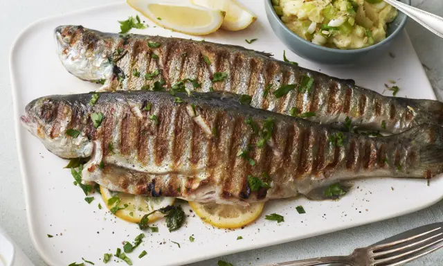 Zwei perfekt gegrillte Forellen liegen auf einem Teller, garniert mit Petersilie und Zitronenspalten. Dazu gibt es Kartoffelpüree mit Frühlingszwiebeln. Ein Genuss für alle, die Forelle grillen lieben.