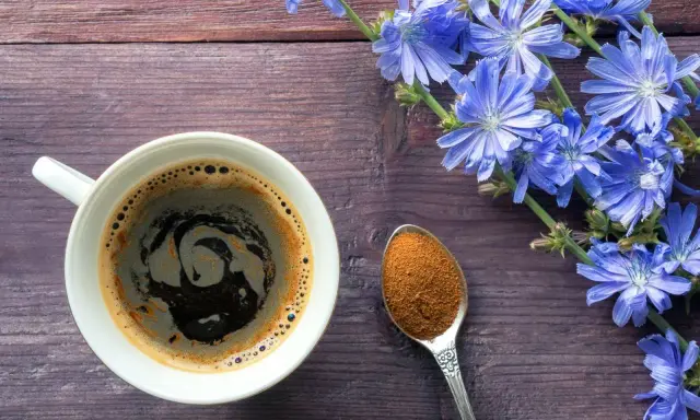 Taza de café de achicoria, con flores azules y una cucharada de polvo de achicoria, ideal para aprender como preparar achicoria en cafetera.