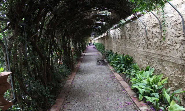 Un sendero cubierto de vegetación en los jardines de Monforte, con bancos y flores moradas esparcidas por el camino.
