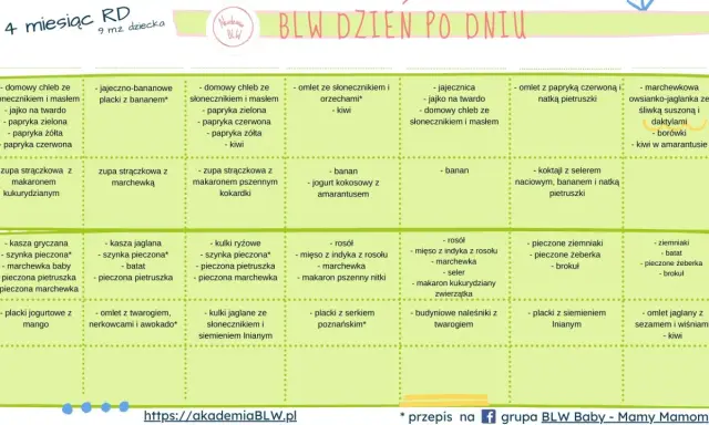Jadłospis dla 9-miesięcznego dziecka: domowy chleb, zupy, placki, omlety i inne zdrowe posiłki.