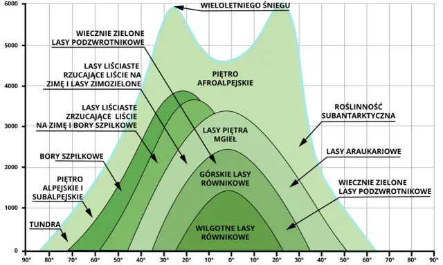 Piętra roślinności w Tatrach: od tundry po wiecznie zielone lasy podzwrotnikowe, zależnie od szerokości geograficznej i wysokości.
