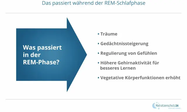 Die REM-Phase fördert Träume, Gedächtnis, Gefühlsregulation und Lernen. Ein tiefer Schlaf verbessert diese Prozesse.