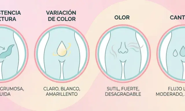 Ilustración sobre consistencia, color, olor y cantidad del moco vaginal. Muestra variaciones normales y posibles señales de alerta.