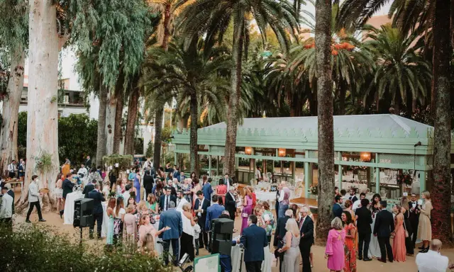 Invitados disfrutan de una boda tipo coctel al aire libre, rodeados de palmeras y eucaliptos. Un pabellón verde al fondo ofrece un espacio cubierto.