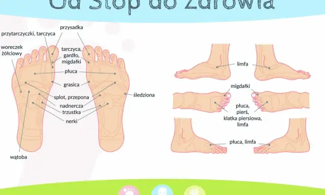 Schemat stóp z punktami do akupresury. Pokazuje punkty odpowiadające narządom: płuca, nerki, wątroba, migdałki.