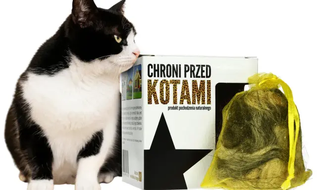 Czarno-biały kot przygląda się opakowaniu z napisem "Chroni przed kotami". To naturalny sposób, co odstrasza koty.
