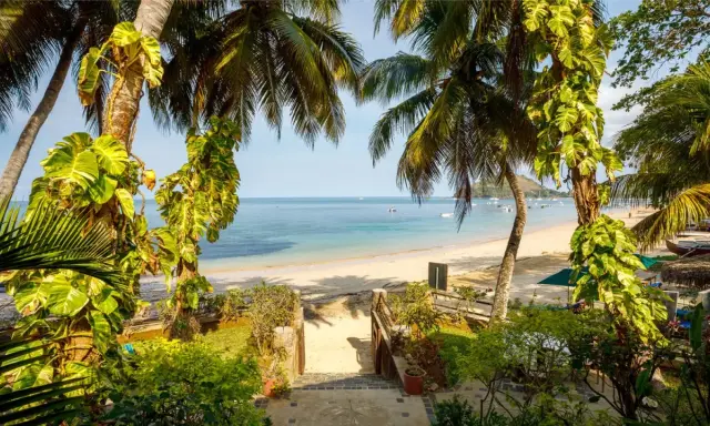 Rajska plaża na Madagaskarze, idealna na wakacje. Kiedy jechać? Najlepiej od kwietnia do grudnia, gdy jest sucho i słonecznie.