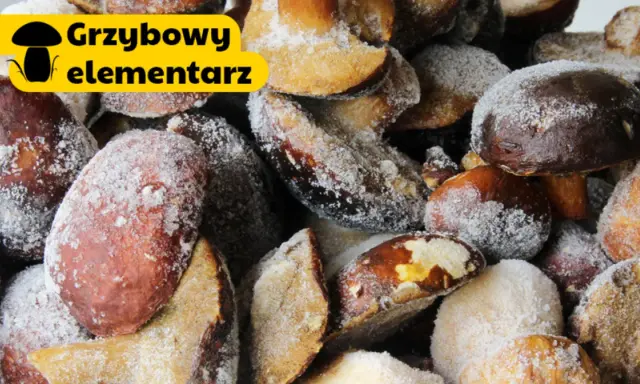 Grzyby gotowe do mrożenia, posypane cukrem pudrem. Dowiedz się, jak przygotować grzyby do mrożenia, by cieszyć się ich smakiem przez cały rok.
