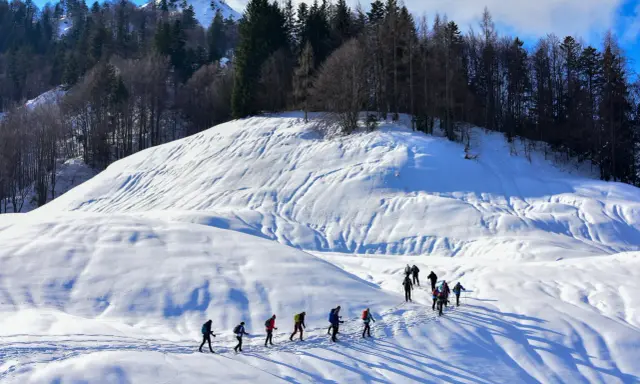 Un gruppo di escursionisti fa **passeggiate sulla neve** in un paesaggio montano innevato, con alberi scuri sullo sfondo.