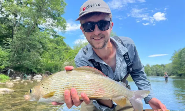 Glad fångst vid fly fishing. En man håller upp en fin fisk i en solig älv.