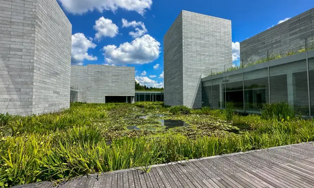 Modern architecture at Glenstone Museum, with grey brick buildings surrounding a lush pond filled with water lilies and reeds.