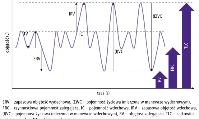 Wykres przedstawia spirometrię, badanie oceniające pojemność płuc. Pokazuje różne objętości oddechowe, takie jak TV, ERV, IRV, IC, RV, FRC, TLC i VC.