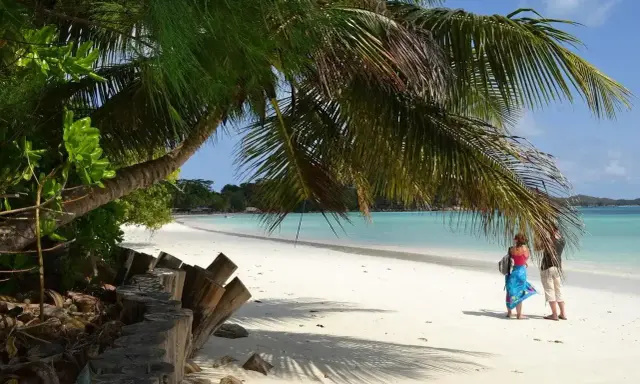 Rajska plaża z palmami, turkusową wodą i dwiema osobami. Tak właśnie wyglądają Seszele, gdzie leżą te rajskie wyspy.