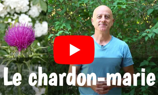 Un homme souriant devant un chardon-marie et des fleurs blanches. Le titre "Le chardon-marie" est affiché.