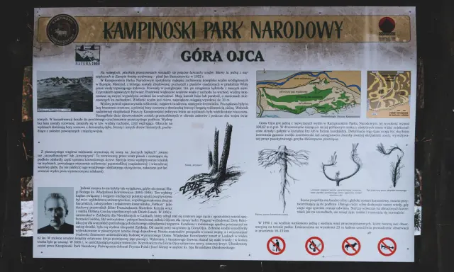 Kampinoski Park Narodowy, Góra Ojca - wydmy śródlądowe, sosny na "kurzych łapkach", historia ks. Korniłowicza.
