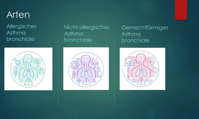 Arten von Asthma: allergisch, nicht-allergisch, gemischt. Illustrationen zeigen Auslöser wie Pollen, Viren, Kälte, Hitze, Umweltverschmutzung, die das Herz und die Lunge beeinflussen können.