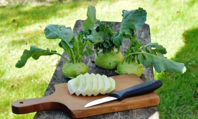 Frisch geernteter Kohlrabi liegt auf einem Holztisch. Ein Teil ist bereits geschnitten, bereit zum Kohlrabi blanchieren.