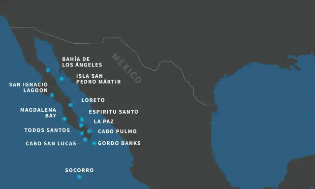 Mapa pokazuje miejsca na Półwyspie Kalifornijskim, które warto odwiedzić, kiedy do Meksyku.