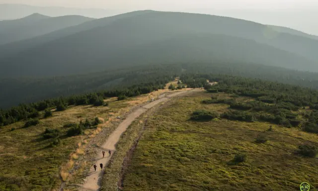 Widok na pasmo górskie Śnieżnik, gdzie szlak prowadzi przez trawiaste zbocza i lasy.