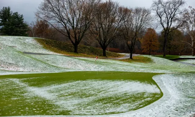 A golf course with patches of pink snow mold on the green grass, trees with bare branches, and a cloudy sky.