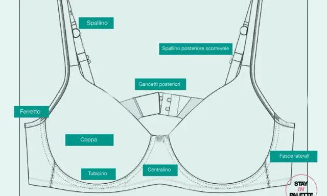 Schema tecnico di un reggiseno con etichette per le parti: spallino, ferretto, coppa, tubicino, centralino, gancetti posteriori, fasce laterali.