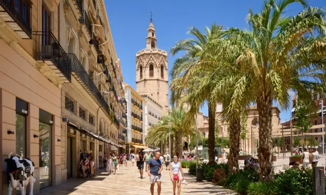 Passeggiata in una via di Valencia con palme e la torre della cattedrale. Ideale per percorsi a piedi.