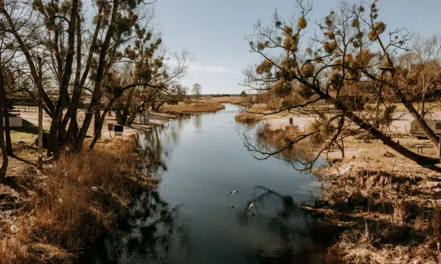 Spokojna rzeka, drzewa z jemiołą i trzciny. Idealne miejsce, by zastanowić się, gdzie na Mazury.