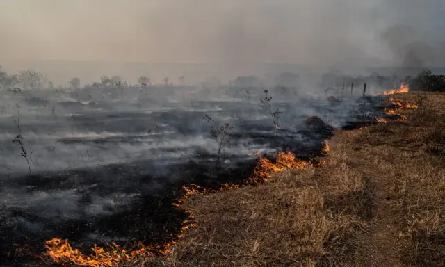 Metan gaz cieplarniany: 80x silniejszy od CO2. Co dalej?