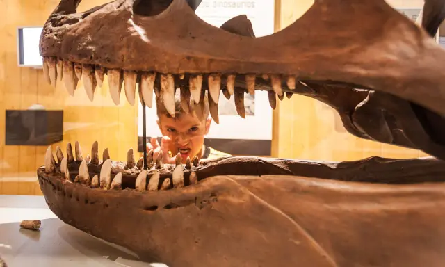 Niño asomándose por la boca de un esqueleto de dinosaurio, una idea genial para saber qué ver en Logroño con niños y vivir una aventura jurásica.