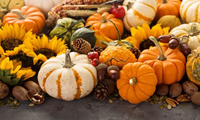A festive autumn display featuring a variety of pumpkins, gourds, sunflowers, pinecones, acorns, and nuts.