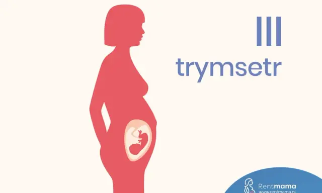 III trymestr ciąży: sylwetka kobiety w ciąży z widocznym płodem.