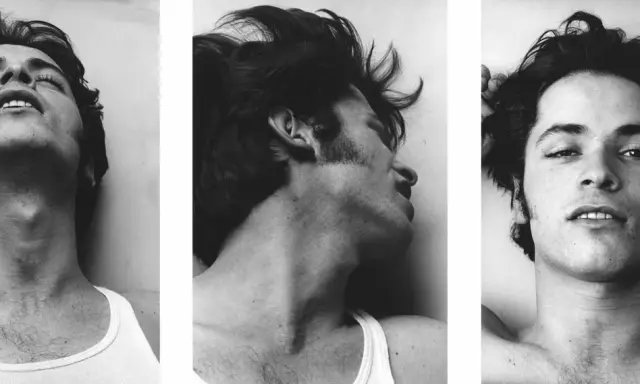 Peter Hujar: Love and Lust. A triptych of a young man's face and neck, captured in moments of vulnerability and raw emotion.