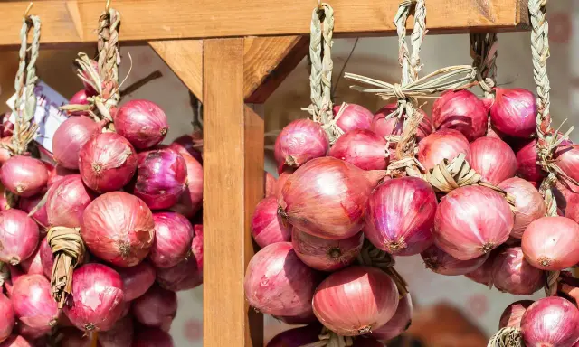Zwiebeln trocknen: Bündel von roten Zwiebeln hängen an einem Holzgestell. Die Zwiebeln sind mit Stroh zusammengebunden und werden so gelagert.