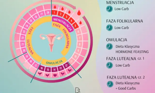 Schemat przedstawia fazy cyklu miesiączkowego: menstruację, fazę folikularną, owulację i fazę lutealną, z sugerowanymi dietami.