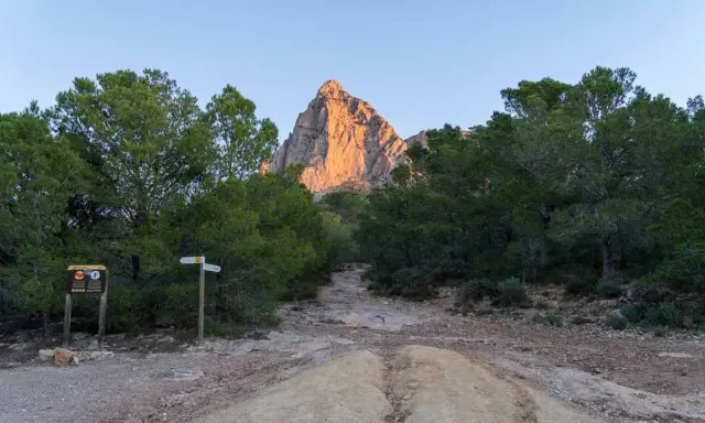 Inicio de la ruta al Puig Campana. Señales y camino rocoso entre pinos, con la imponente montaña iluminada al fondo.