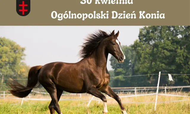Dzień Konia: Kiedy i jak świętować? Poznaj historię 30 kwietnia!