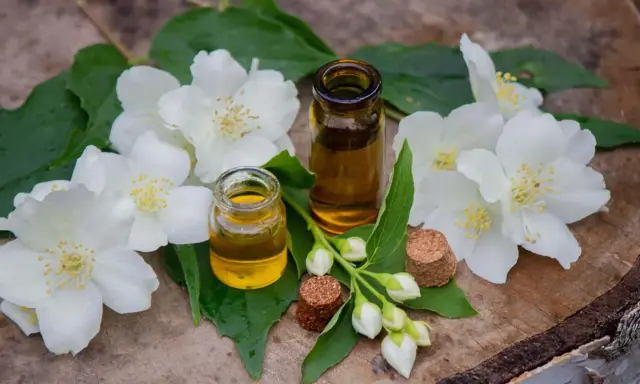 Deux petites fioles d'huile essentielle fleur d'oranger, entourées de fleurs de jasmin blanches et de feuilles vertes sur un fond de bois.