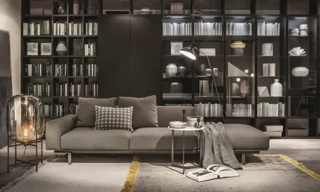Elegante soggiorno con divano grigio, tavolino e una maestosa lema parete attrezzata piena di libri e oggetti decorativi.