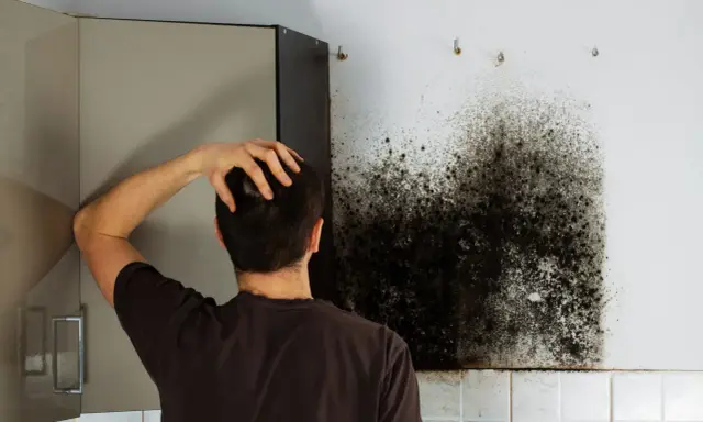 Mann kratzt sich am Kopf und blickt auf einen großen Fleck schwarzen Schimmel an der Wand neben einem Küchenschrank.