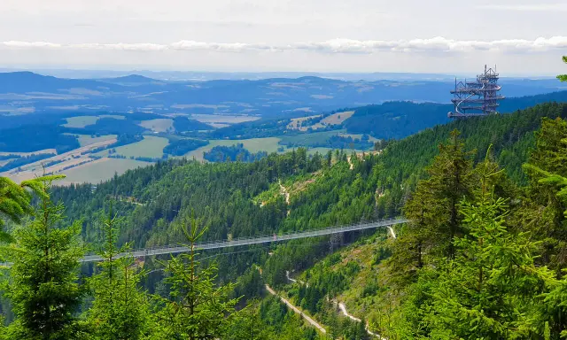 Widok na Dolní Morava most wiszący nad zielonymi lasami i wzgórzami. W oddali widać wieżę widokową.