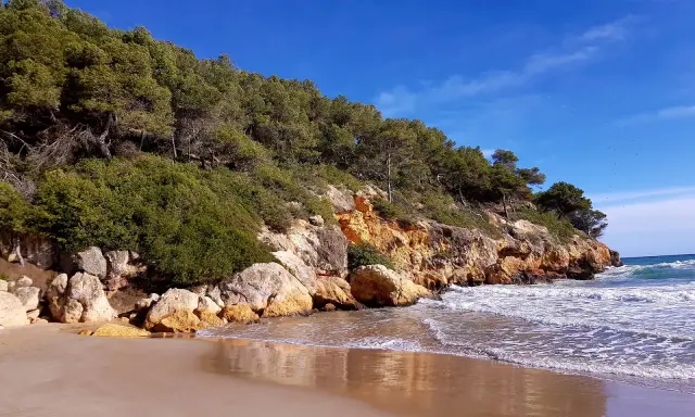 Sandstrand mit Felsen und Pinienwald an der Küste von La Mora, Spanien. Wellen brechen sanft am Ufer.