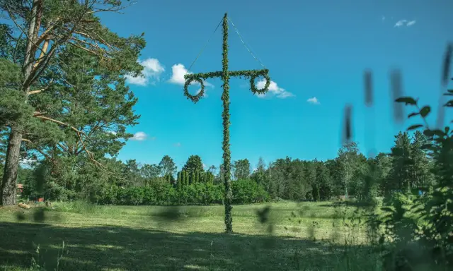 En midsommarstång i en grönskande äng, redo för fest. Här firar man midsommar med dans och sång.