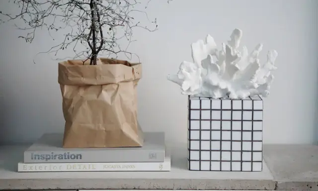 En växt i en brun papperspåse står bredvid en vit korallliknande dekoration på en rutig vas. En inspirerande diy vas-idé.
