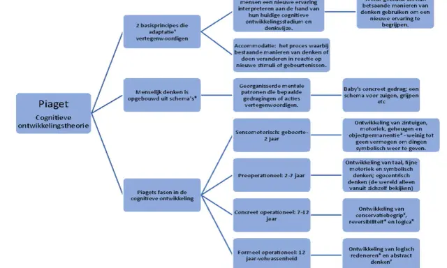 Schema's en adaptatie in Piaget's cognitieve ontwikkelingsfasen: assimilatie, accommodatie en de sensomotorische, preoperationele, concreet operationele en formeel operationele fase.
