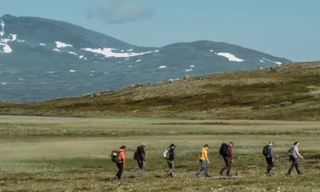 Vandring i fjällandskap med snöklädda toppar, en grupp vandrare med ryggsäckar rör sig genom gräs och ljung mot Helags Sylarna.