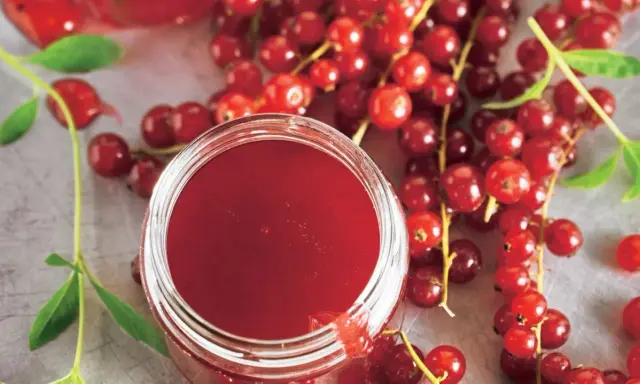 Ein Glas mit rotem Johannisbeergelee, umgeben von frischen Johannisbeeren. Perfekt zum Johannisbeeren einkochen.