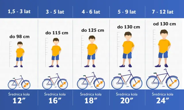 Tabela rozmiarów rowerów dla dzieci: wiek, wzrost i średnica koła. Dobierz odpowiednią ramę L dla swojego dziecka.