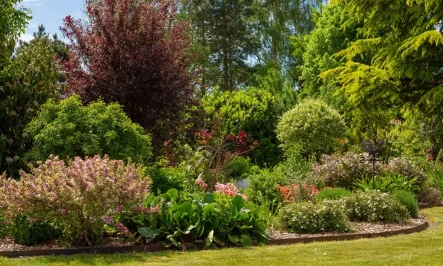 Un magnifique jardin printanier avec un arbre en fleur en ce moment, des arbustes aux teintes rouges et vertes, et des parterres de fleurs roses et blanches.