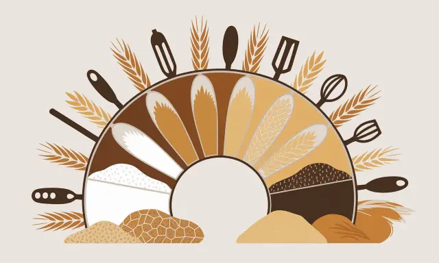 Illustration d'une roue de la vie culinaire, montrant différentes variétés de farine de froment, dont la farine de froment gluten, et des ustensiles de cuisine.