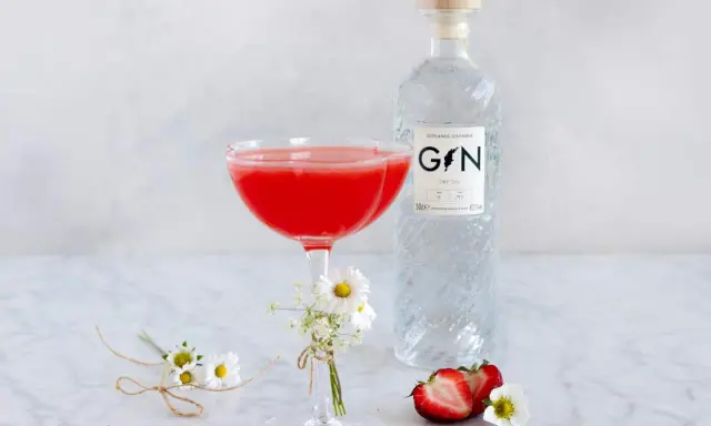 En röd drink i ett coupeglas, bredvid en flaska gin från Gotlands Ginfabrik. Jordgubbar och små blommor dekorerar bordet.